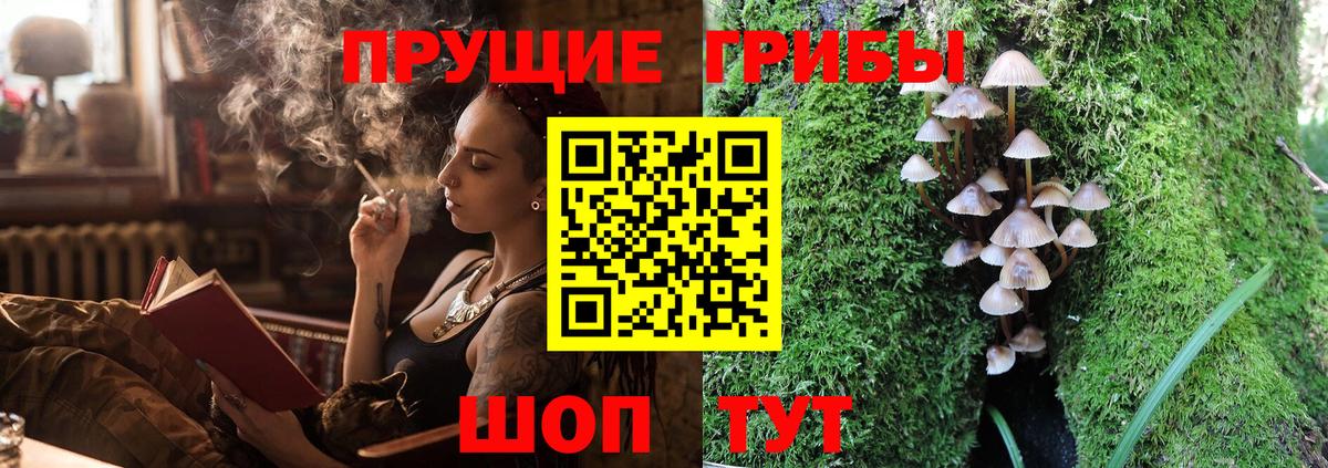 Галлюциногенные грибы Cubensis Всеволожск
